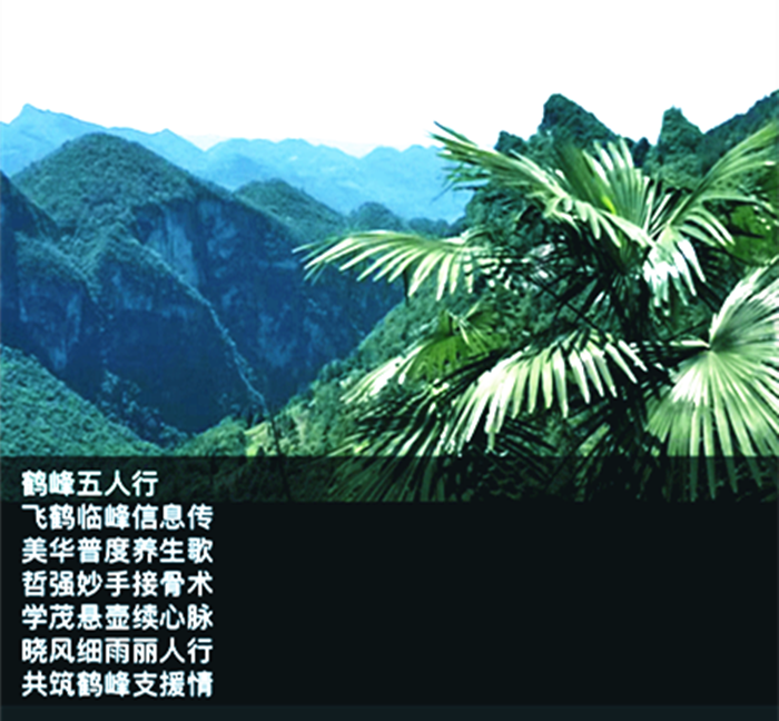 晓风细雨丽人行 西湖溇水一脉亲