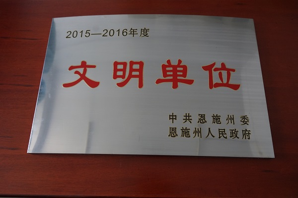 2015-2016ݼλ